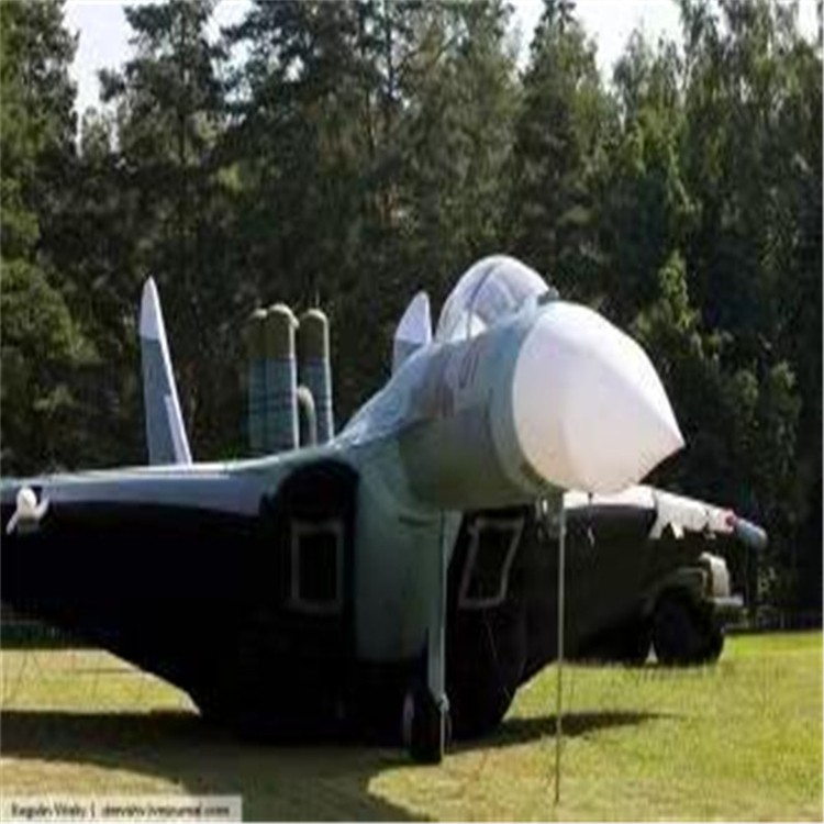 甘谷充气模型飞机制造商家